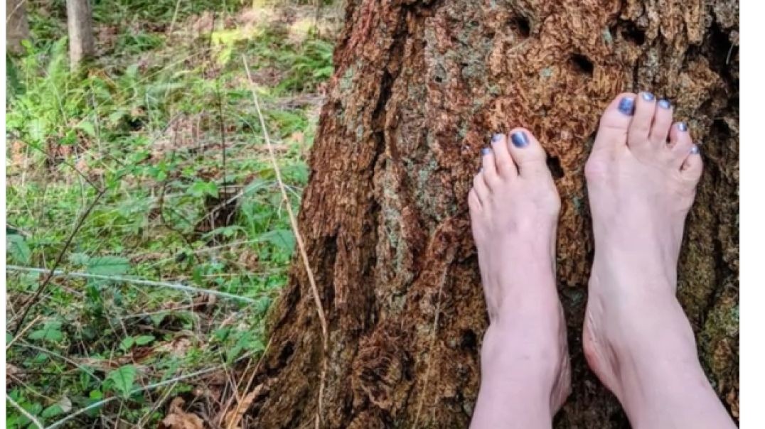 Forest_Foot_Photos