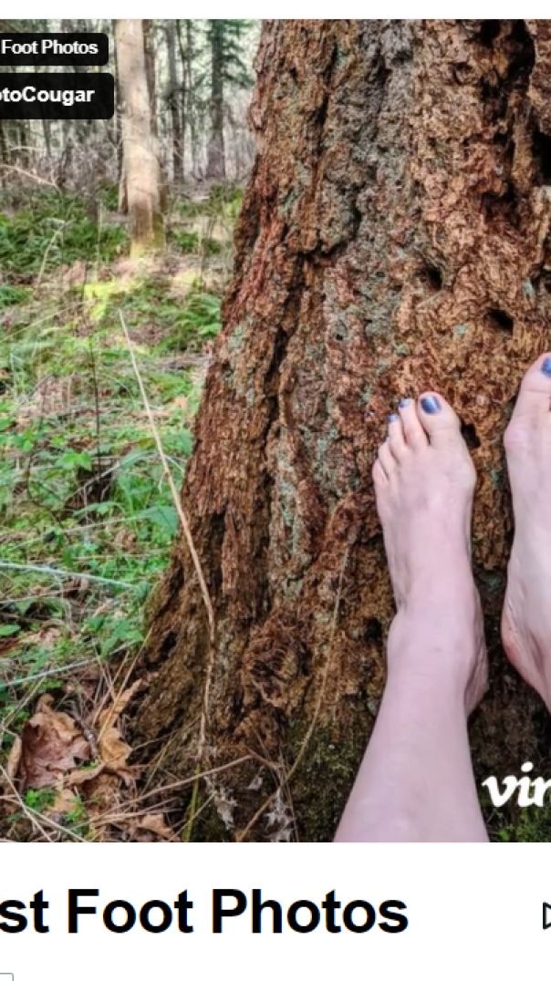 Forest_Foot_Photos